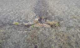 sandymount tower 10980.jpg